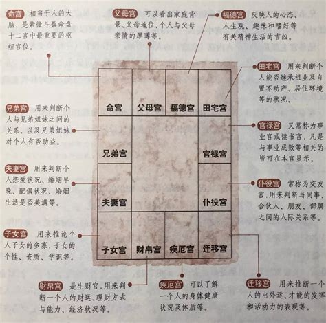 紫微正照|掌握紫微斗数基本功，让您看命盘时会截然不同的理解，很多问题。